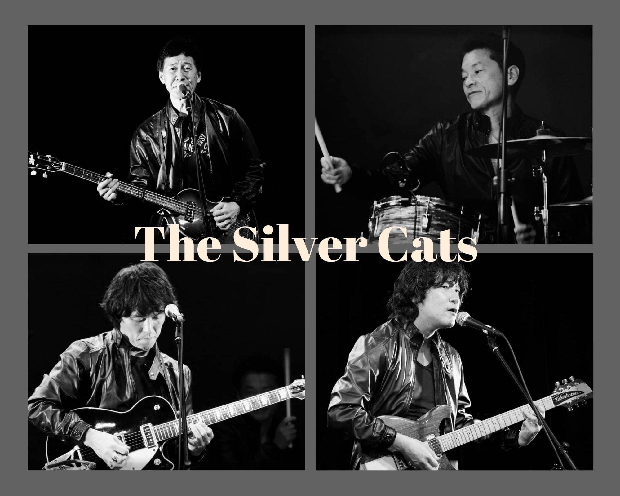ヒア・カムズ・ザ・サン：The Silver Cats『Anthology 特集 VOL.2』